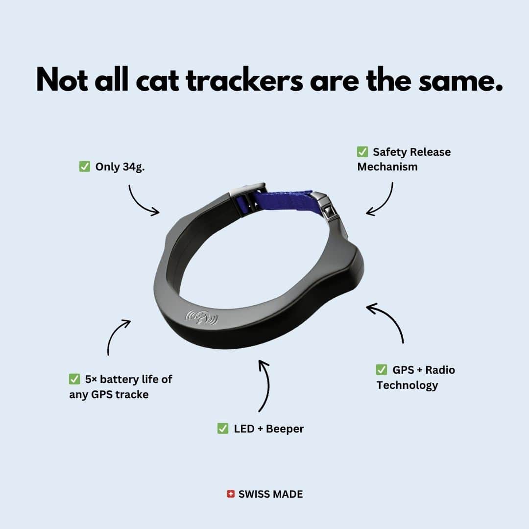 Not all cat trackers are the same
