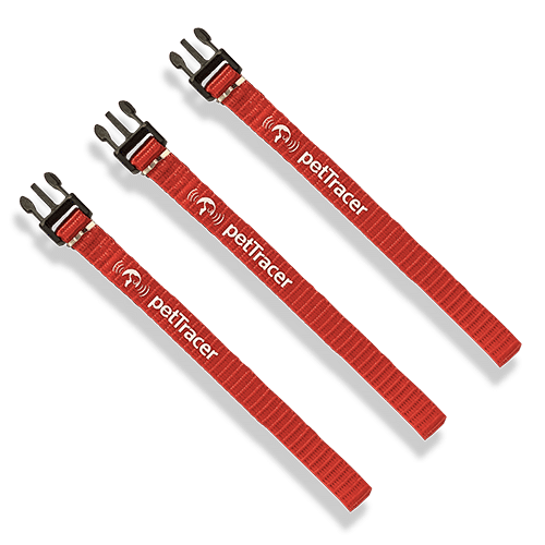 Safety Release Bands