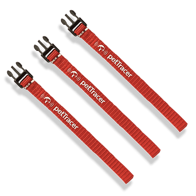 Safety Release Bands