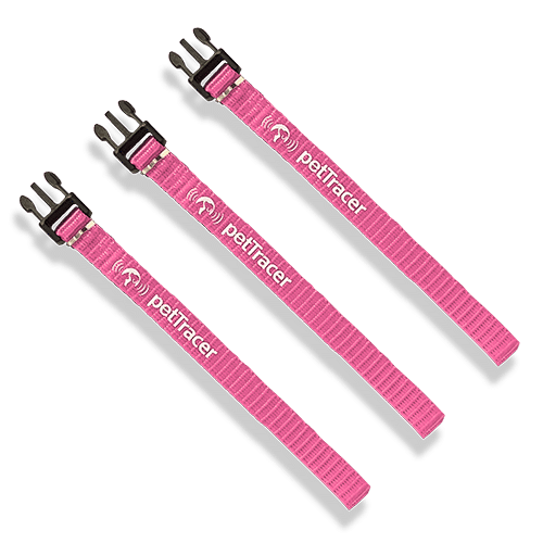 Safety Release Bands