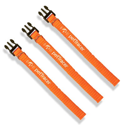 Safety Release Bands